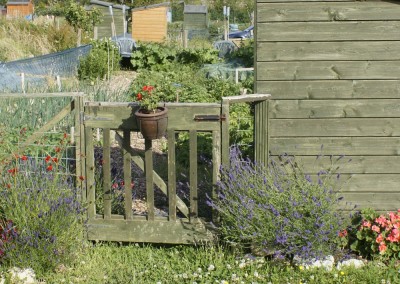 Beech Hill Allotments Sheds & More