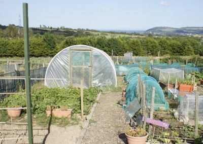 Wicklow Allotments GreenHouse
